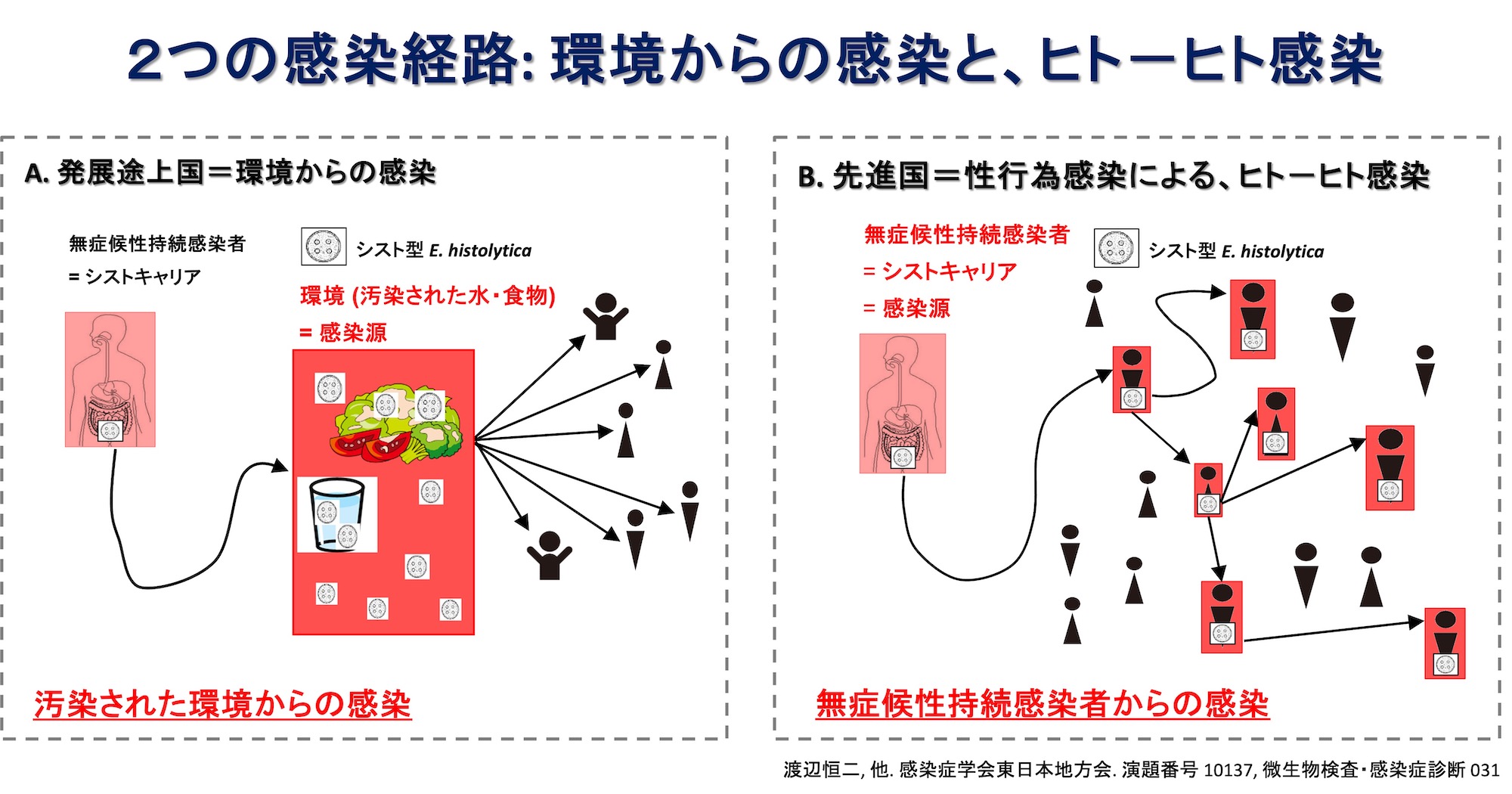 2つの感染経路
